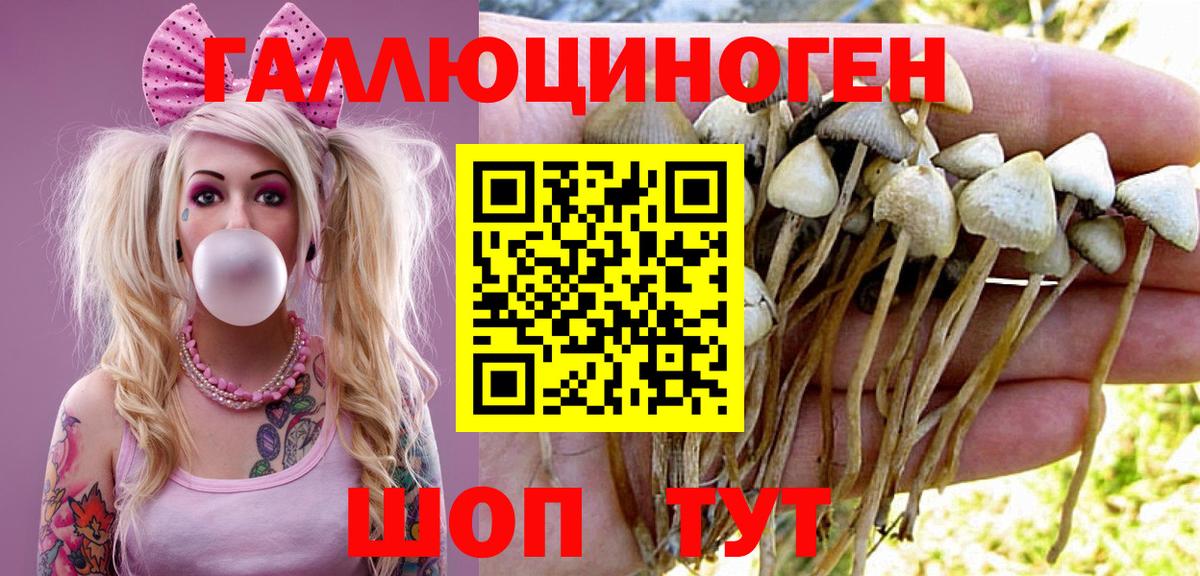 Псилоцибиновые грибы мицелий  Вход с VPN  Соль-Илецк 